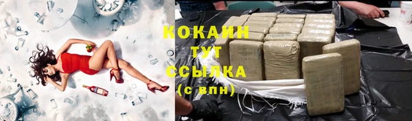 spice Абаза