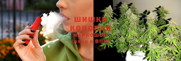spice Абаза