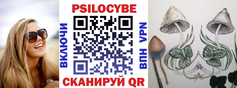 продажа наркотиков  Черемхово  Галлюциногенные грибы GOLDEN TEACHER 