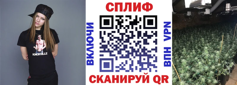 Бошки марихуана план  Черемхово 